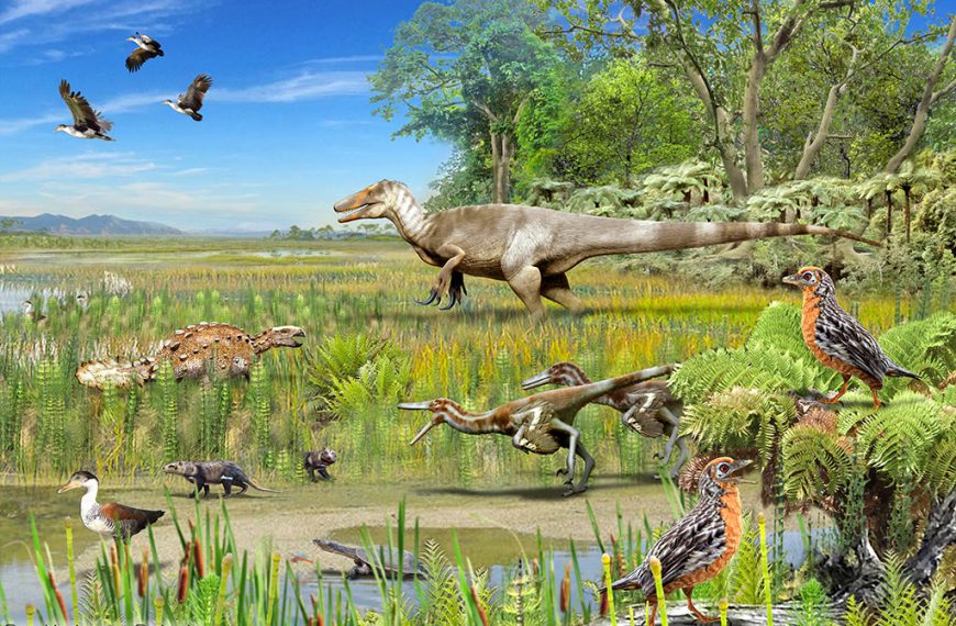 Científicos descubren que Megarraptores dominaron la Patagonia chilena hace 70 millones de años