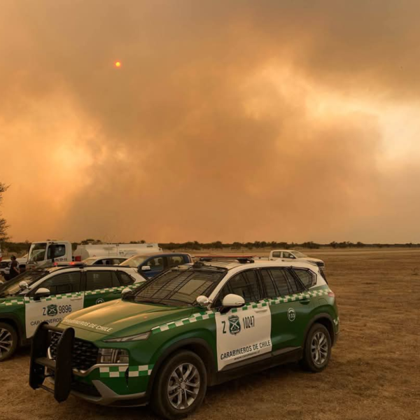 Incendio forestal Santa Filomena consume 800 hectáreas