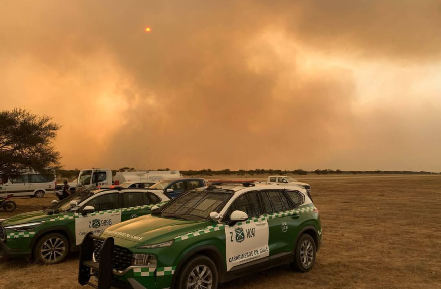 Incendio forestal Santa Filomena consume 800 hectáreas