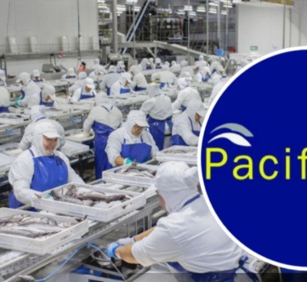 Ley de Fraccionamiento Pesquero: Diálogo con PacificBlu