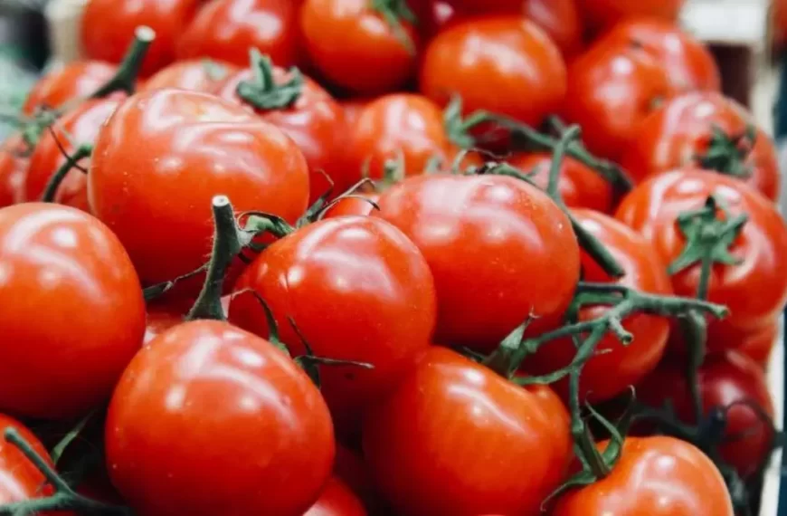 Perfumes para Curar Tomates: Un Método Innovador
