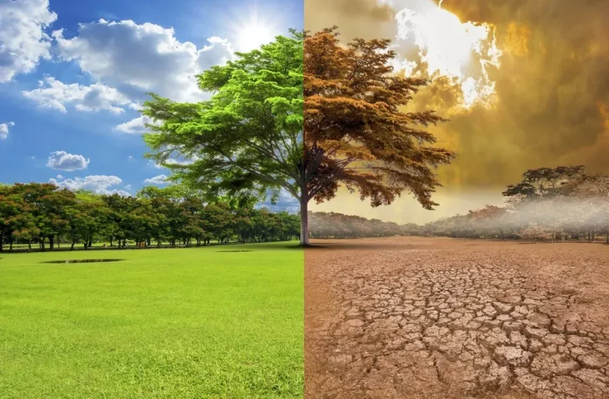 Cambio Climático: Proyectos Comunitarios para la Resiliencia