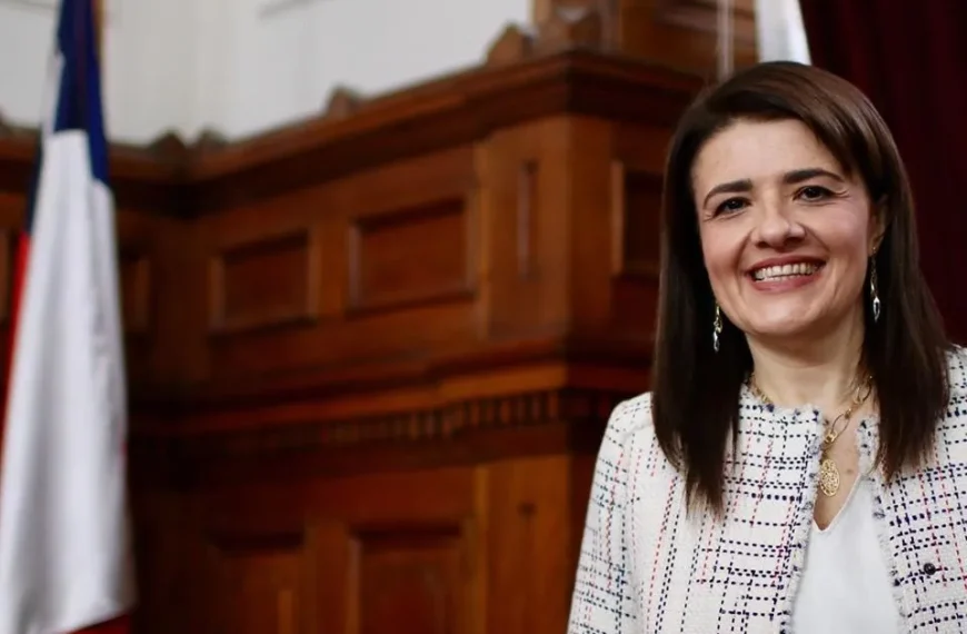 Remoción de ministra: El caso de Verónica Sabaj