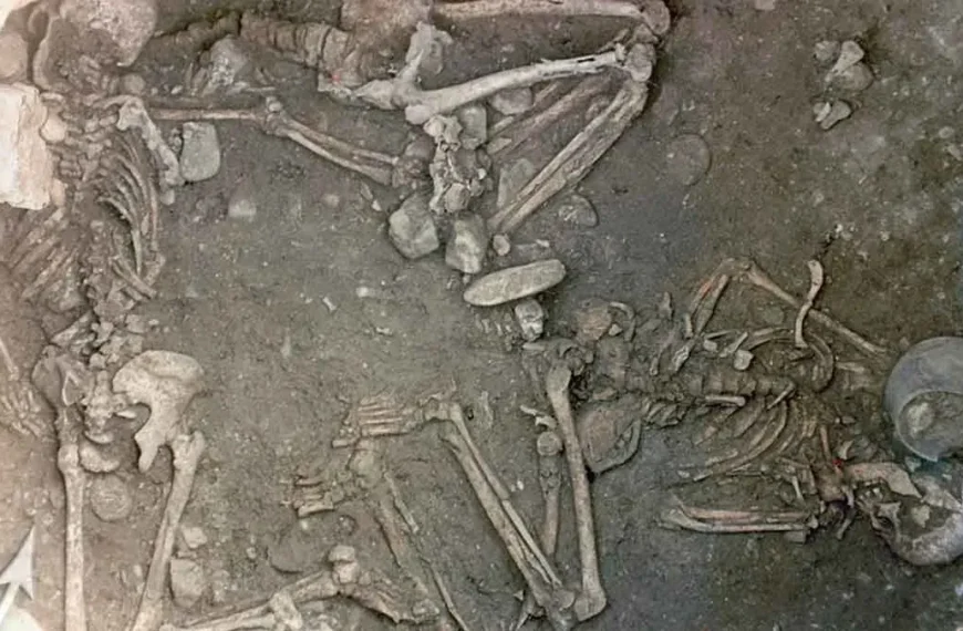 Sacrificios en el Neolítico: triunfos y rituales