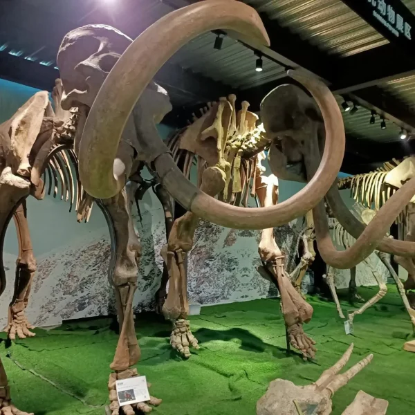Digitalización 3D Prehistoria: La Cueva de La Pileta