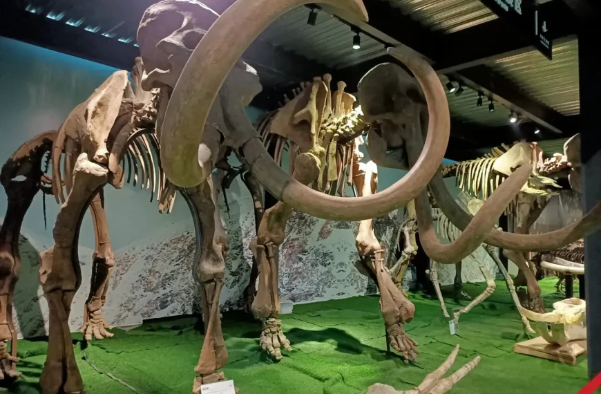 Digitalización 3D Prehistoria: La Cueva de La Pileta