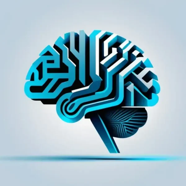 Geometría cerebral: cómo nuestro cerebro organiza la memoria