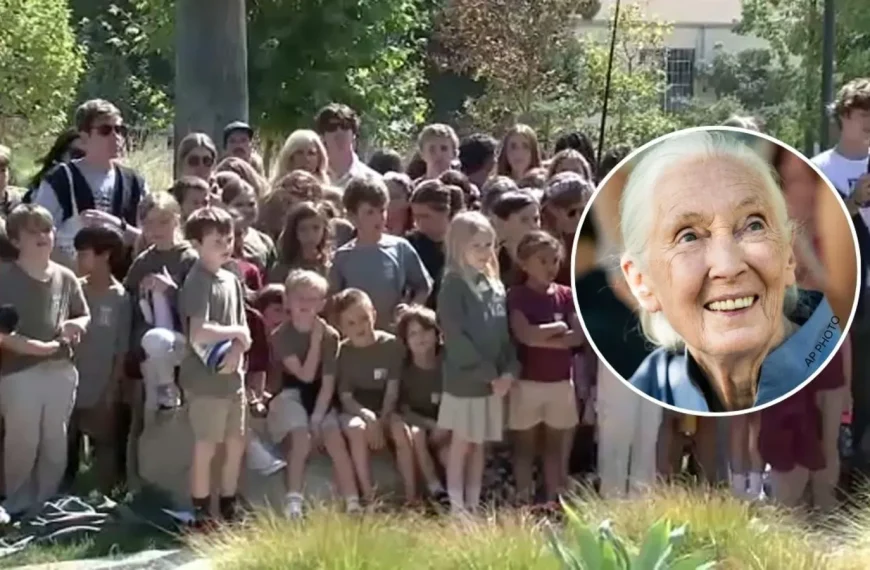 Jane Goodall: legado en etología y conservación global