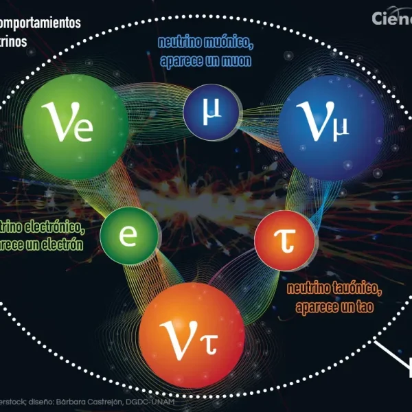 Física de Neutrinos: Descubrimientos y Retos Actuales
