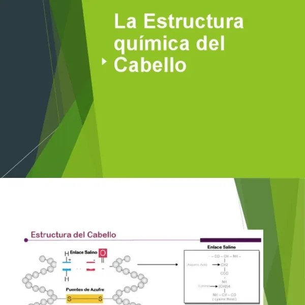 Química del Cabello: ¿Por Qué se Encrespa en la Humedad?
