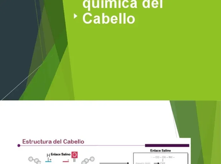 Química del Cabello: ¿Por Qué se Encrespa en la Humedad?