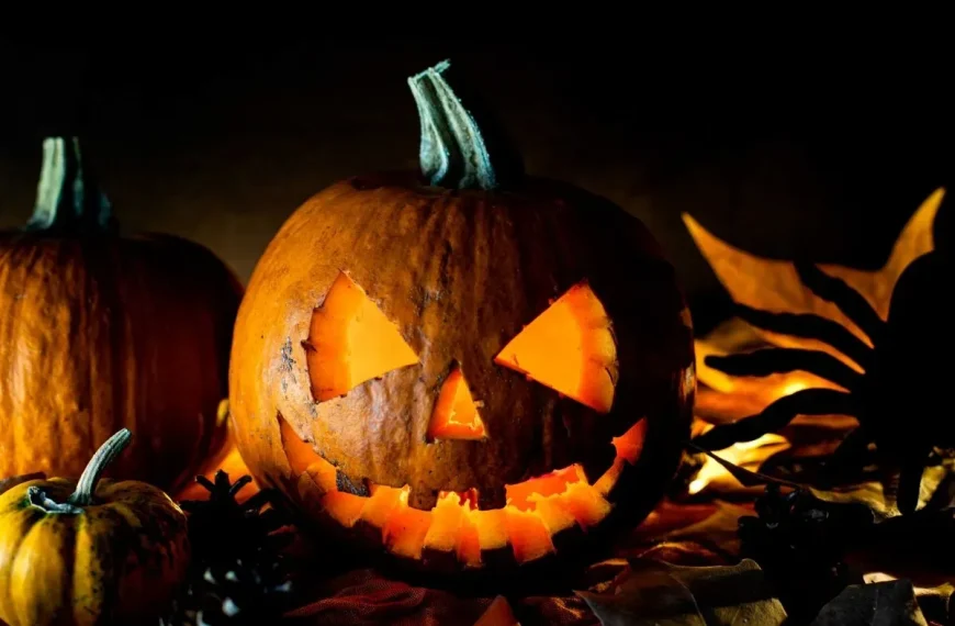 Calabazas en Halloween: Tradición y Orígenes Sorprendentes