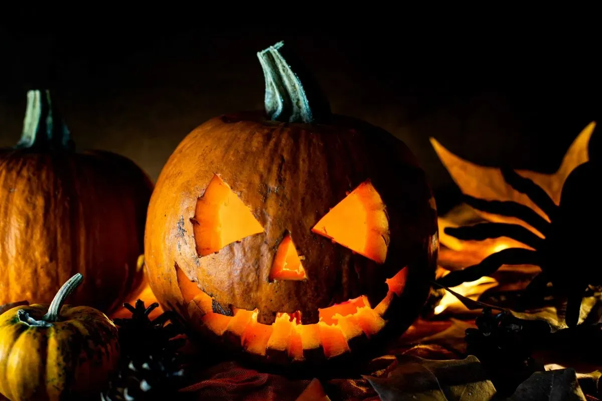 Calabazas en Halloween: Tradición y Orígenes Sorprendentes