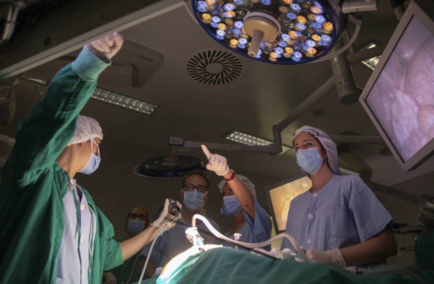 Cirugía experimental para sobrevivientes de cáncer: ¿El futuro de la fertilidad?