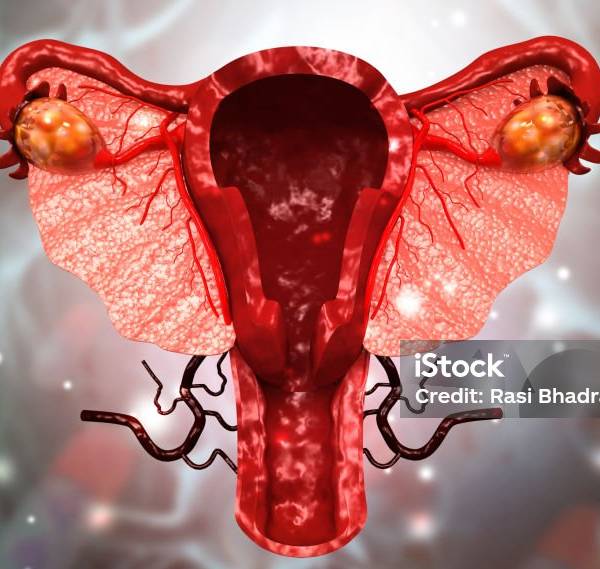 Útero humano mantenido vivo fuera del cuerpo: un gran avance
