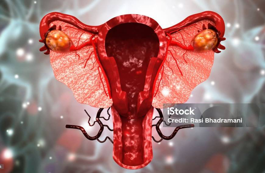 Útero humano mantenido vivo fuera del cuerpo: un gran avance