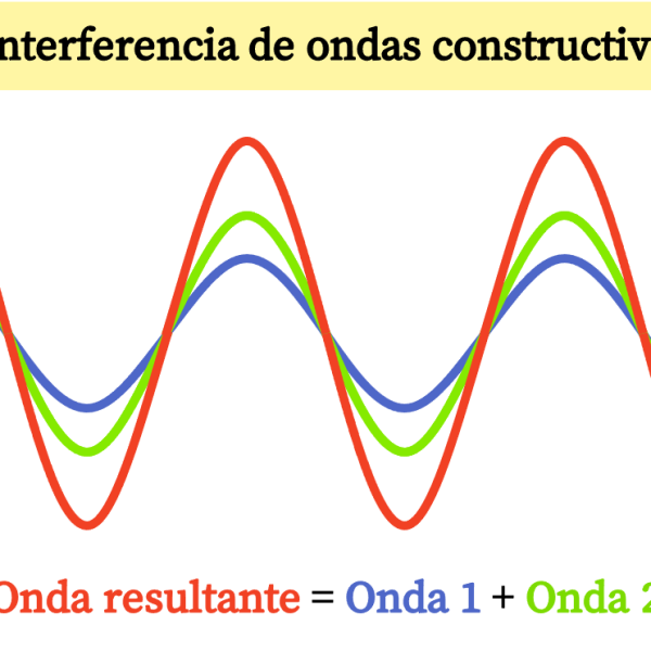 Interferencia: Descubre cómo acceder a noticias y artículos interesantes