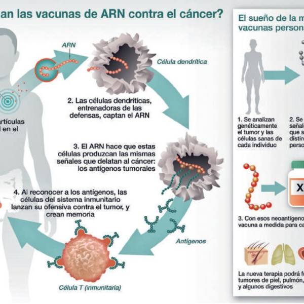 Vacuna contra el cáncer: La batalla del lenguaje en la biotecnología