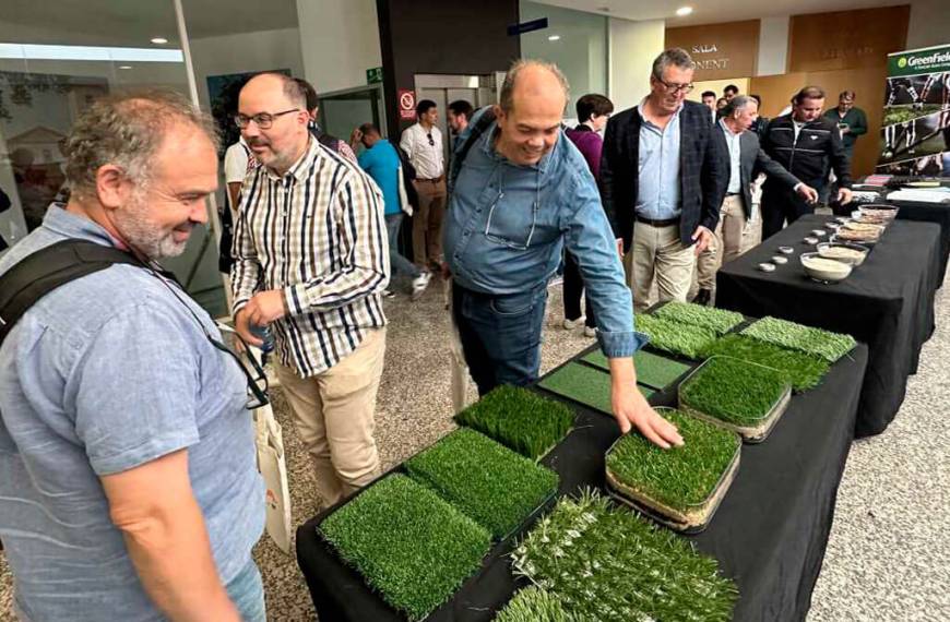 Césped Artificial: ¿Por qué Desata Debates Intensos y Crece Rápido?