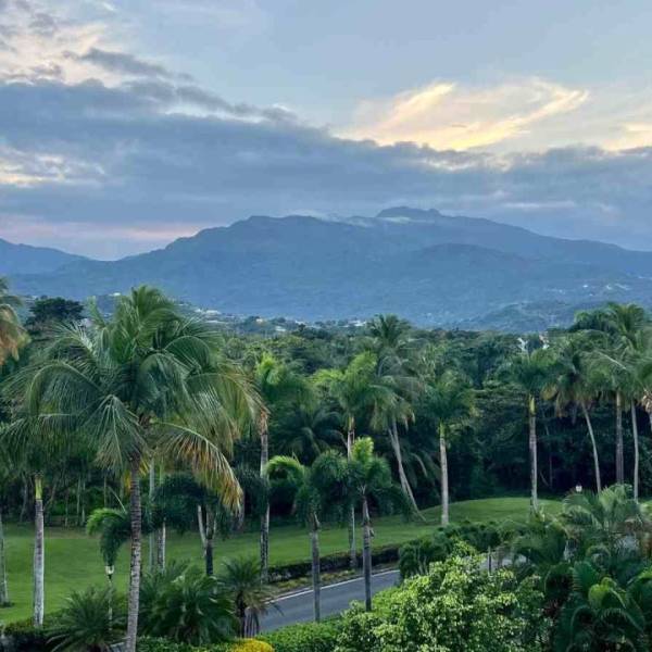 Río Grande Puerto Rico: El intrigante relato de Jaime Bayly