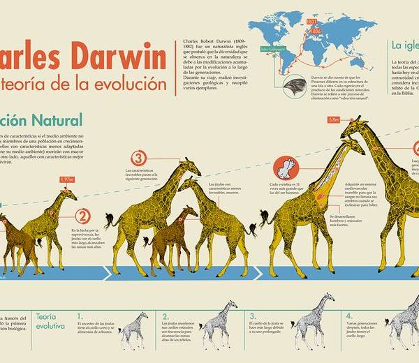Neandertales internos: ¿Un rastro de nuestro pasado o una ilusión?
