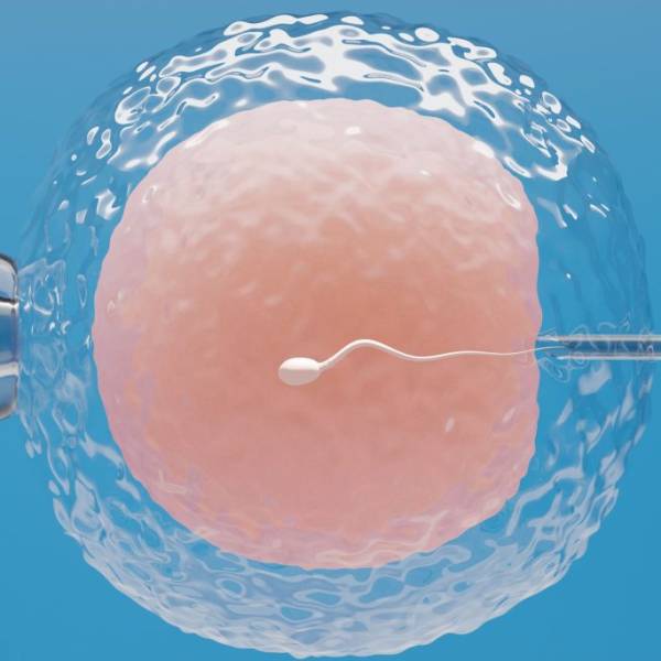 Fertilidad Asistida: ¿Qué avances nos depara el futuro?