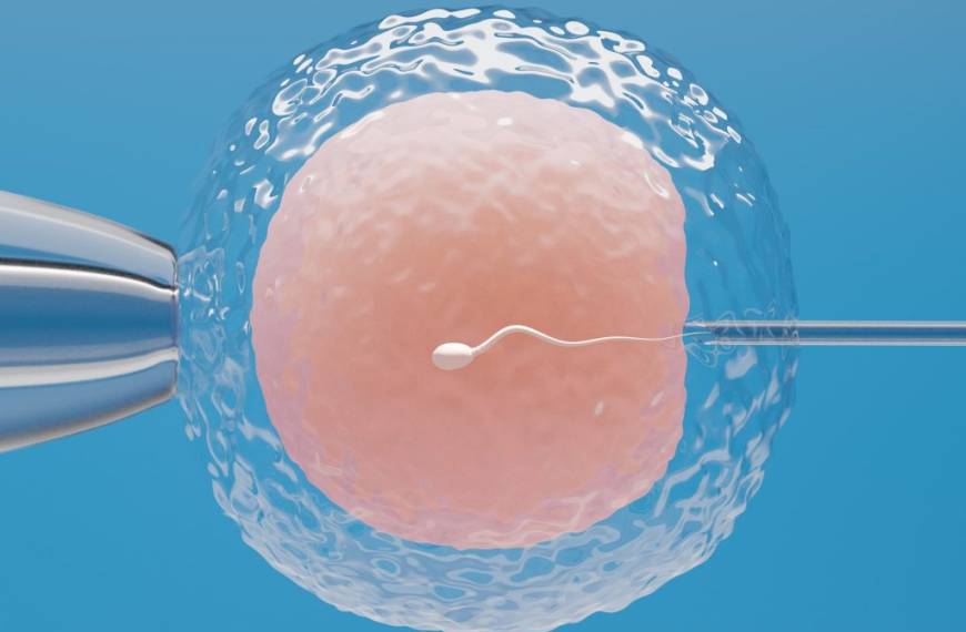Fertilidad Asistida: ¿Qué avances nos depara el futuro?