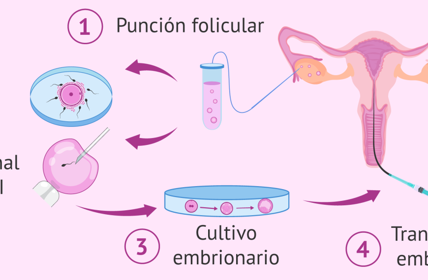 Tecnologías de FIV: Avances que Transforman la Paternidad