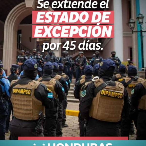 Estado de Excepción: ¿Cuáles son las nuevas facultades defendidas por Arrau?