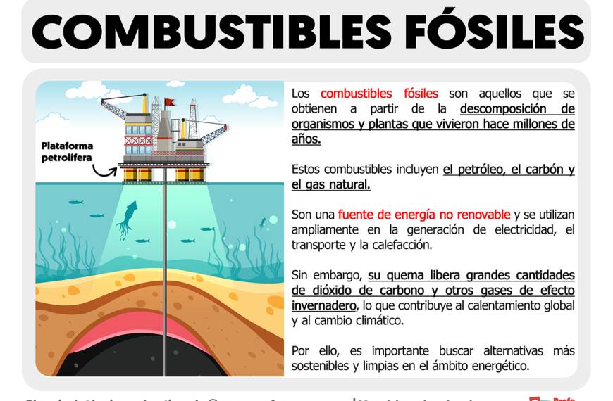 Precios de Fertilizantes: ¿Por Qué Están Tan Elevados Este Año?